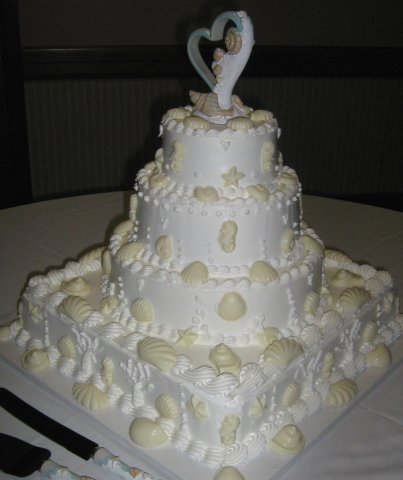 Seashells in white 2